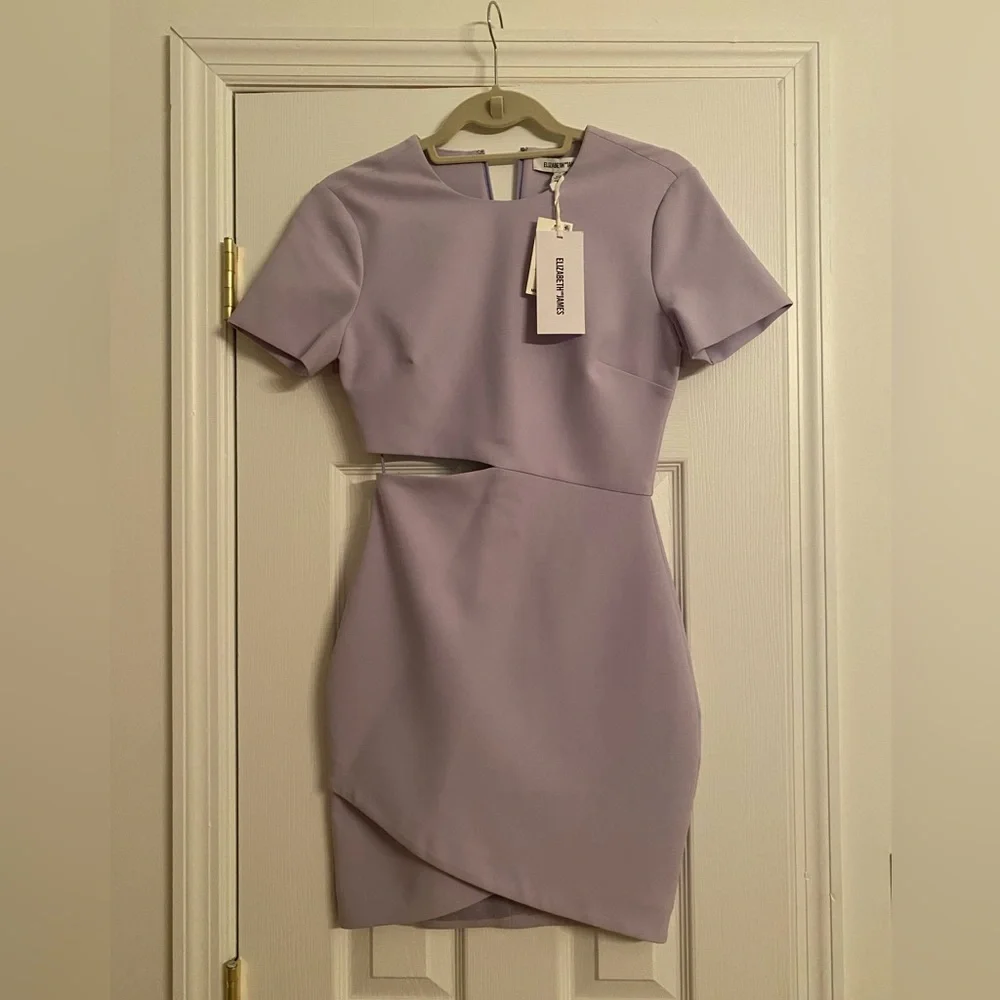 Elizabeth and James Aiala Dress NWT - Picture 3 of 7